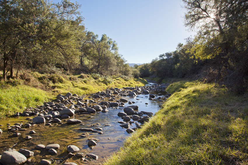 Samara Eastern Cape South Africa 33