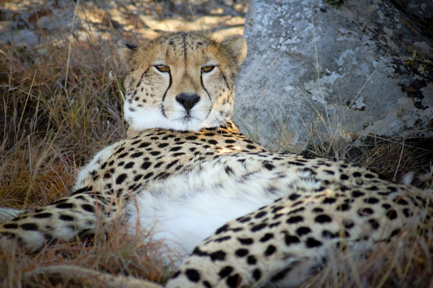 Samara Eastern Cape South Africa 38