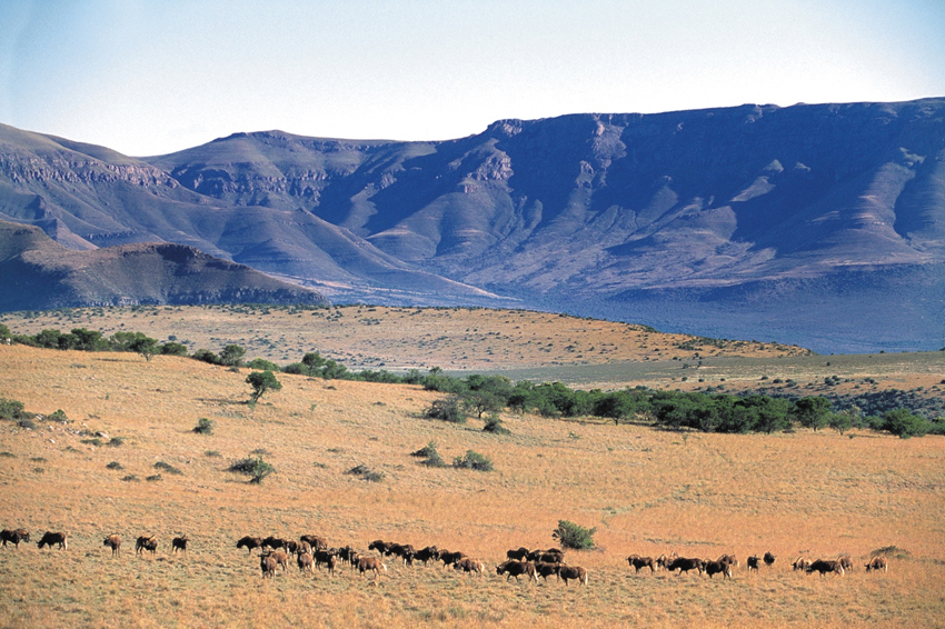 Samara Eastern Cape South Africa 42