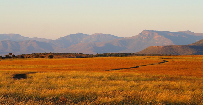 Samara Eastern Cape South Africa 3