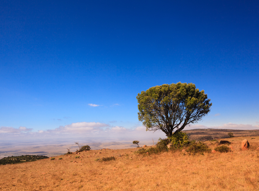 Samara Eastern Cape South Africa 5