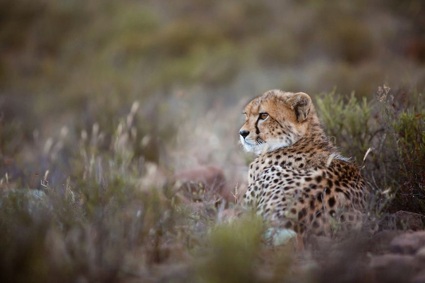 Samara Eastern Cape South Africa 19