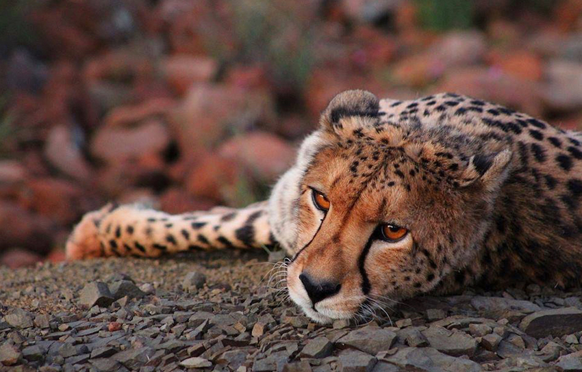 Samara Eastern Cape South Africa 26