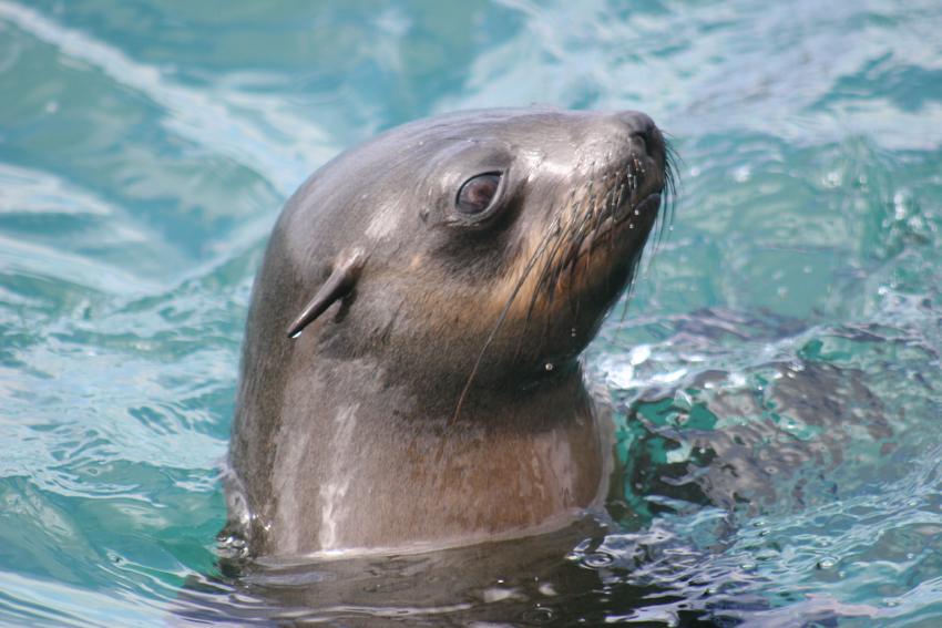 Birkenhead House Hermanus South Africa 18