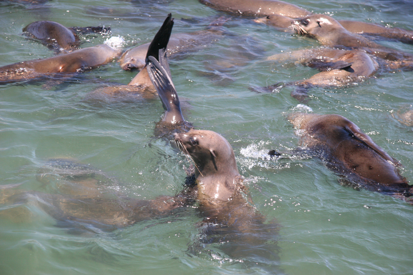 Birkenhead House Hermanus South Africa 19
