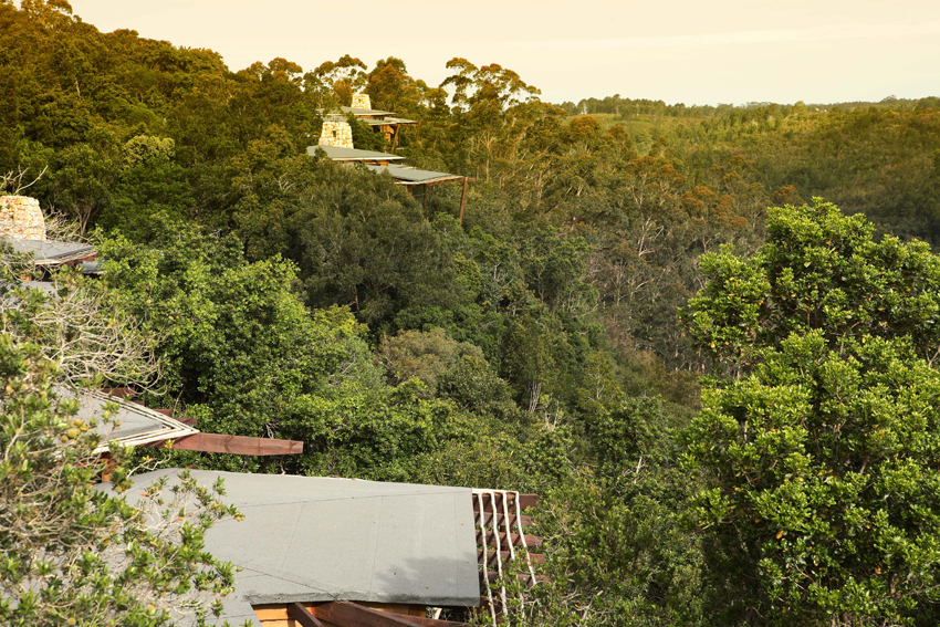 Tsala Treetops Garden Route South Africa 19