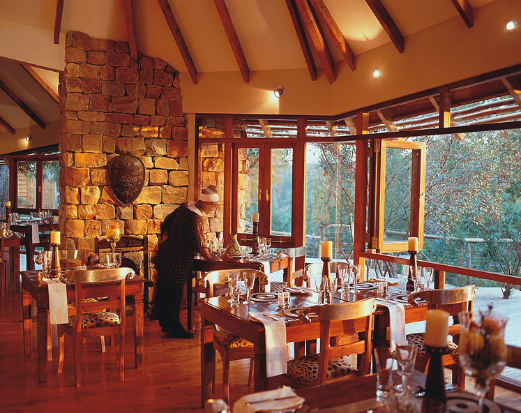 Tsala Treetops Garden Route South Africa 2