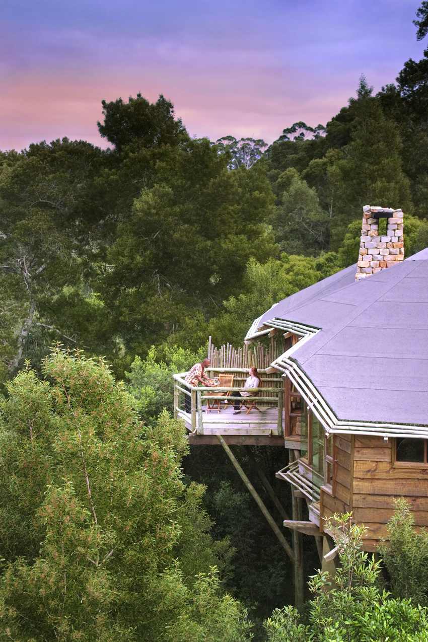 Tsala Treetops Garden Route South Africa 9