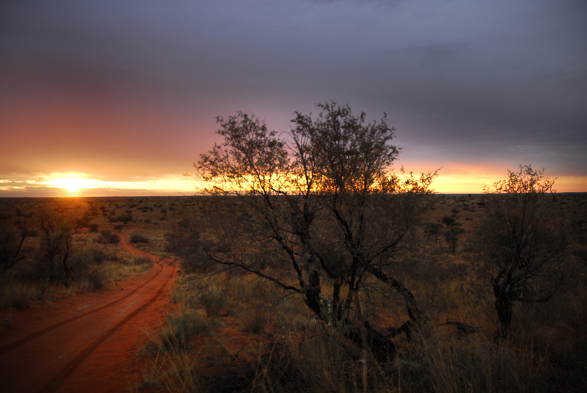 Tswalu Kalahari South Africa 5