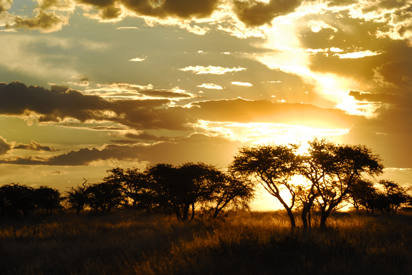 Tswalu Kalahari South Africa 6