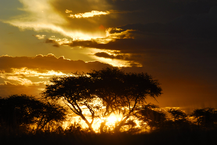 Tswalu Kalahari South Africa 7