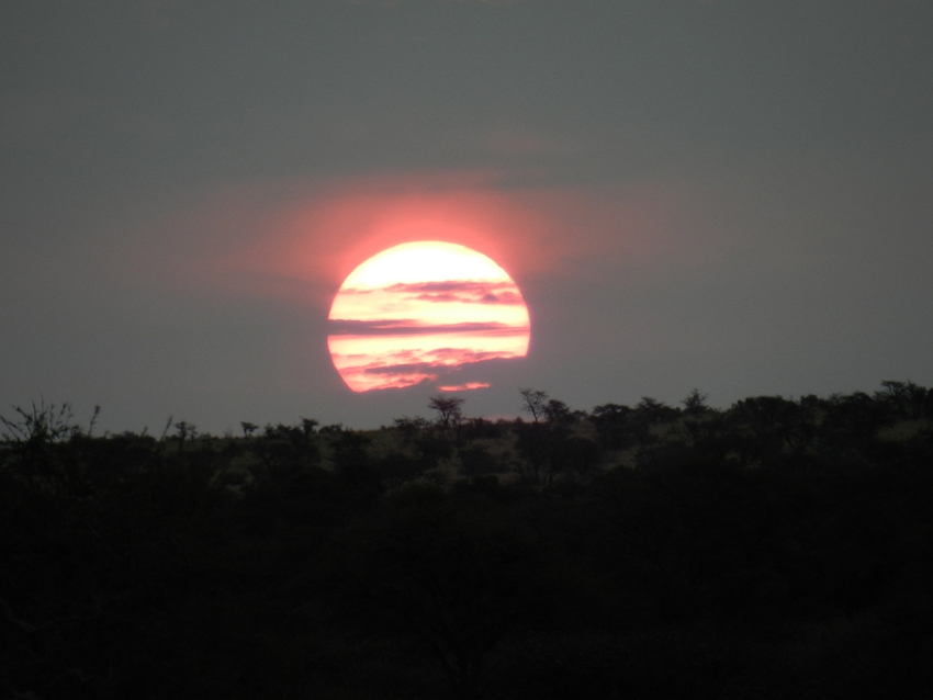 Tswalu Kalahari South Africa 9