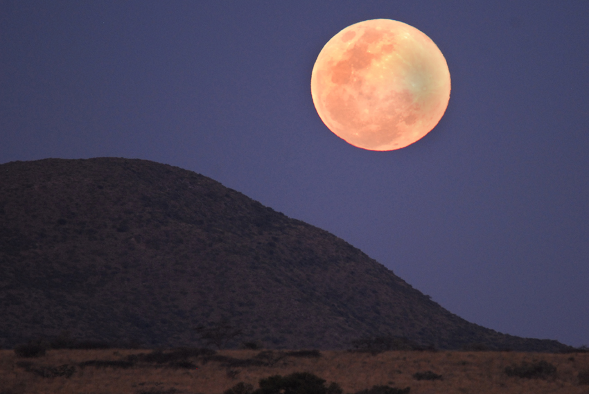 Tswalu Kalahari South Africa 11
