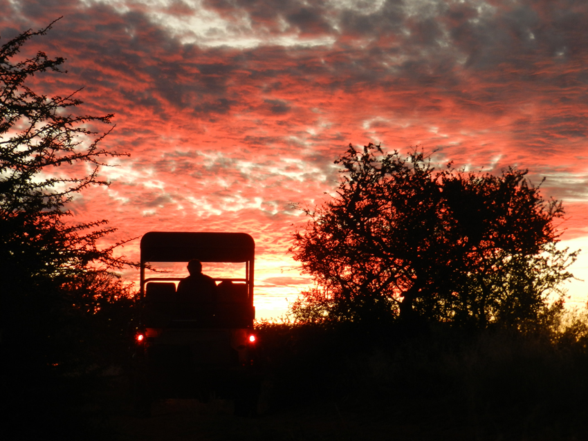 Tswalu Kalahari South Africa 12