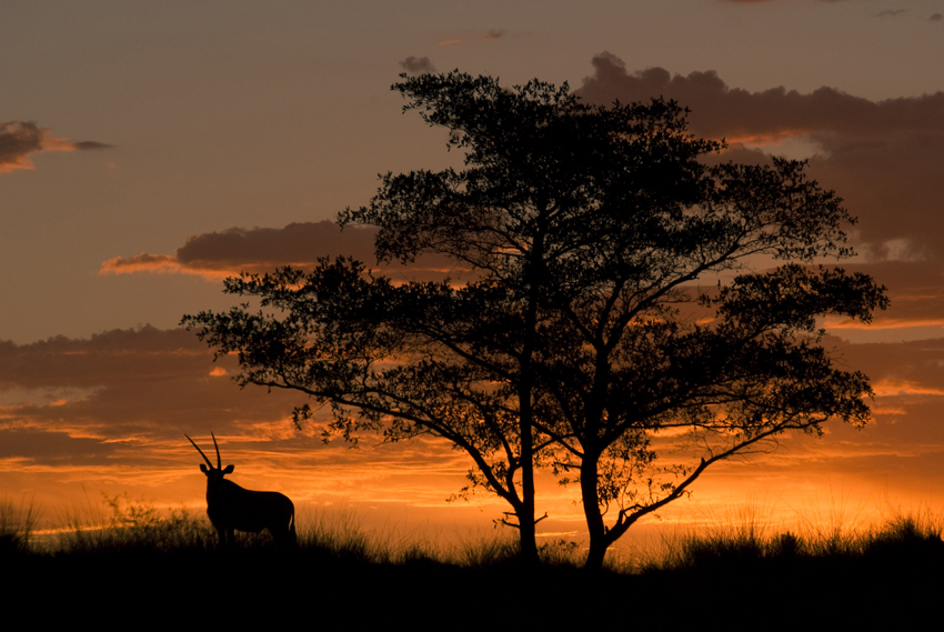 Tswalu Kalahari South Africa 16