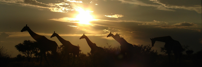 Tswalu Kalahari South Africa 17