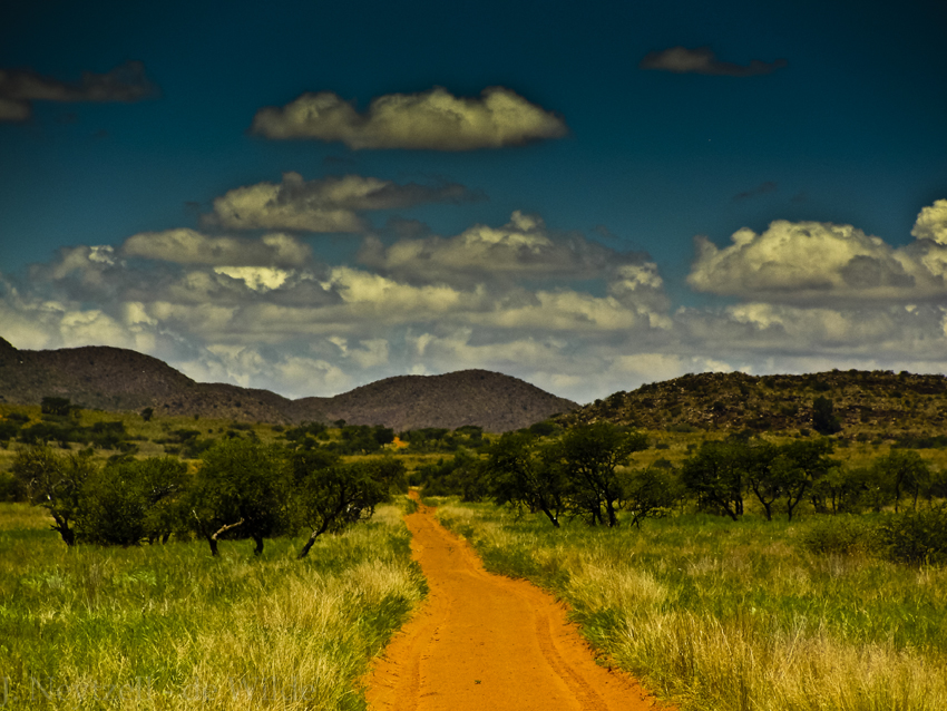 Tswalu Kalahari South Africa 18