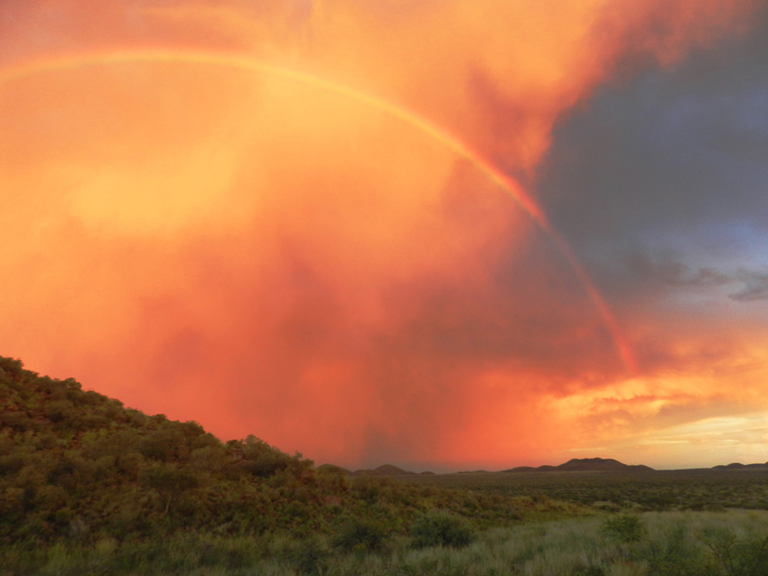 Tswalu Kalahari South Africa 19
