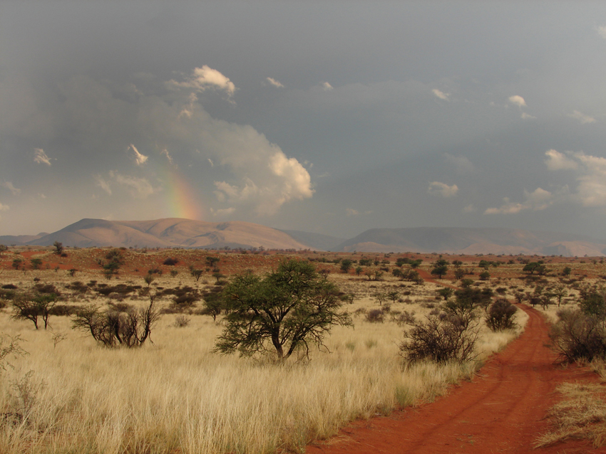 Tswalu Kalahari South Africa 20