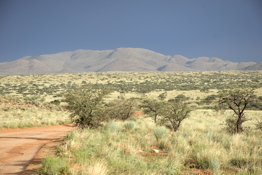 Tswalu Kalahari South Africa 21