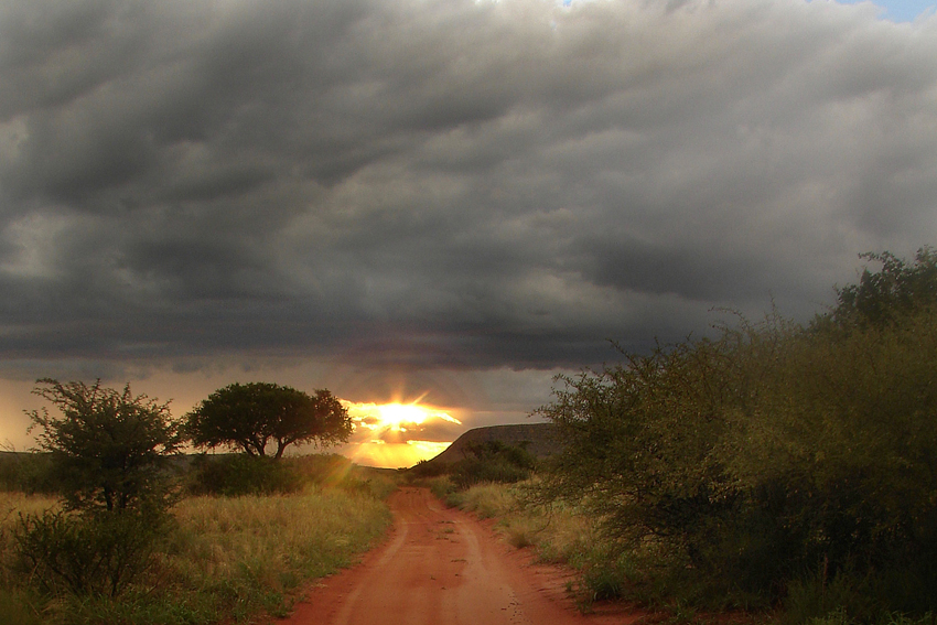 Tswalu Kalahari South Africa 23