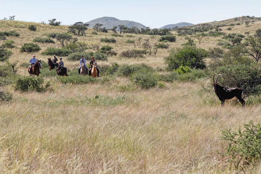 Tswalu Kalahari South Africa 24