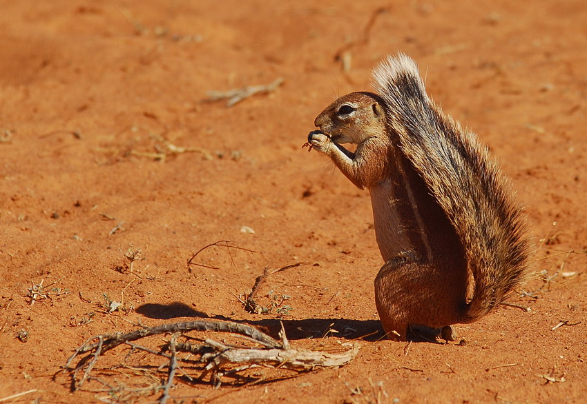 Tswalu Kalahari South Africa 44