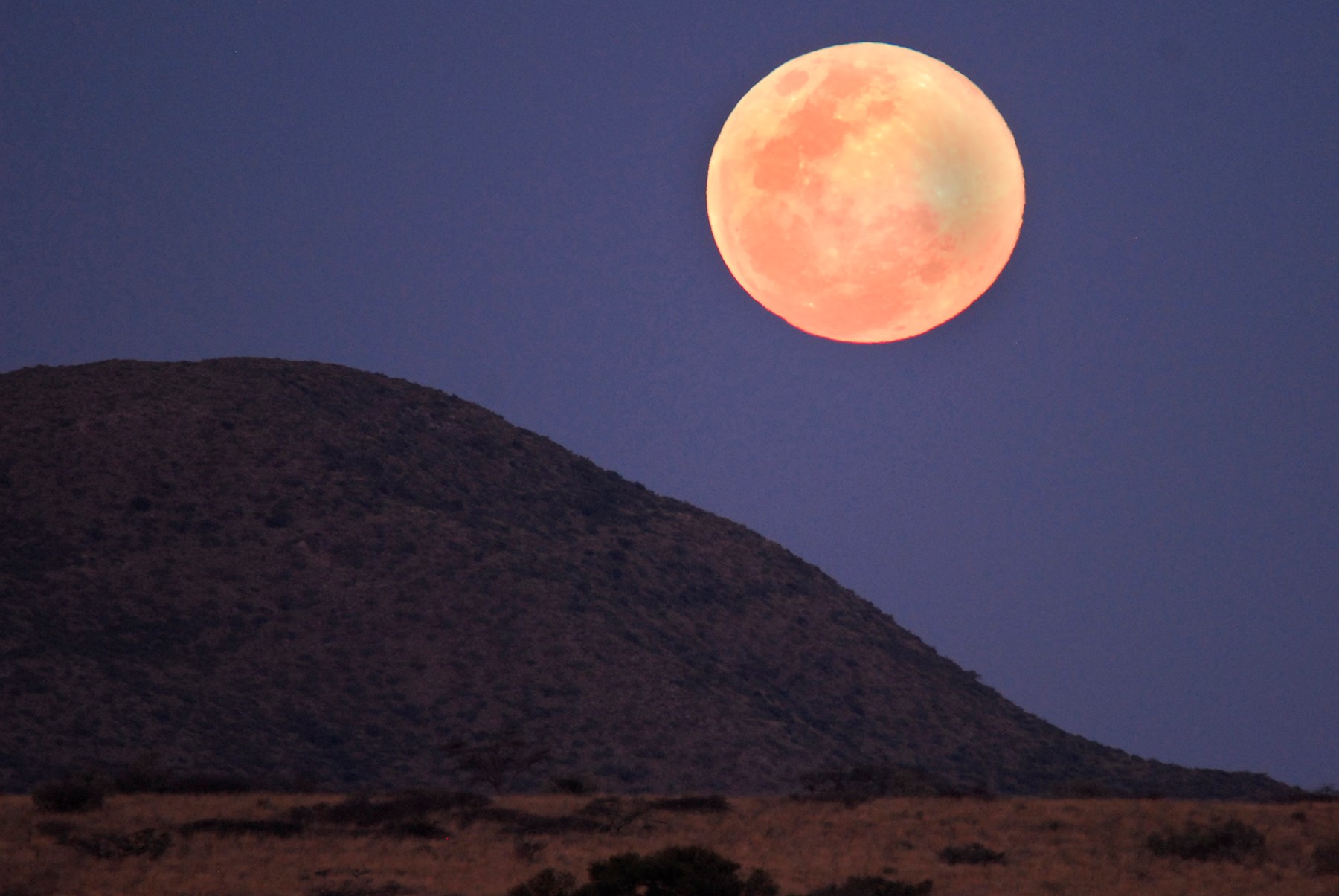 South Africa Tswalu Kalahari South Africa 5
