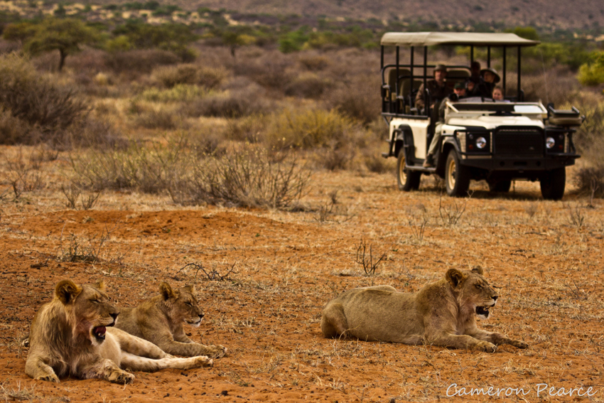 Tswalu Kalahari South Africa 64