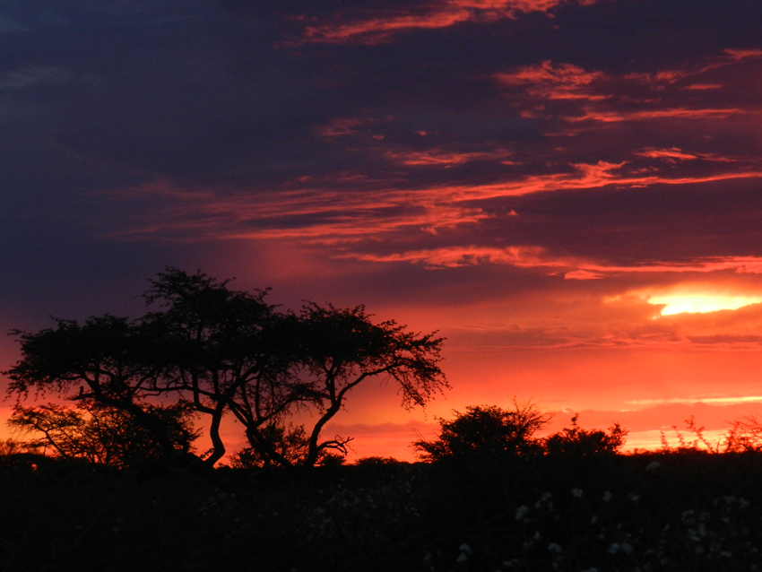 Tswalu Kalahari South Africa 1
