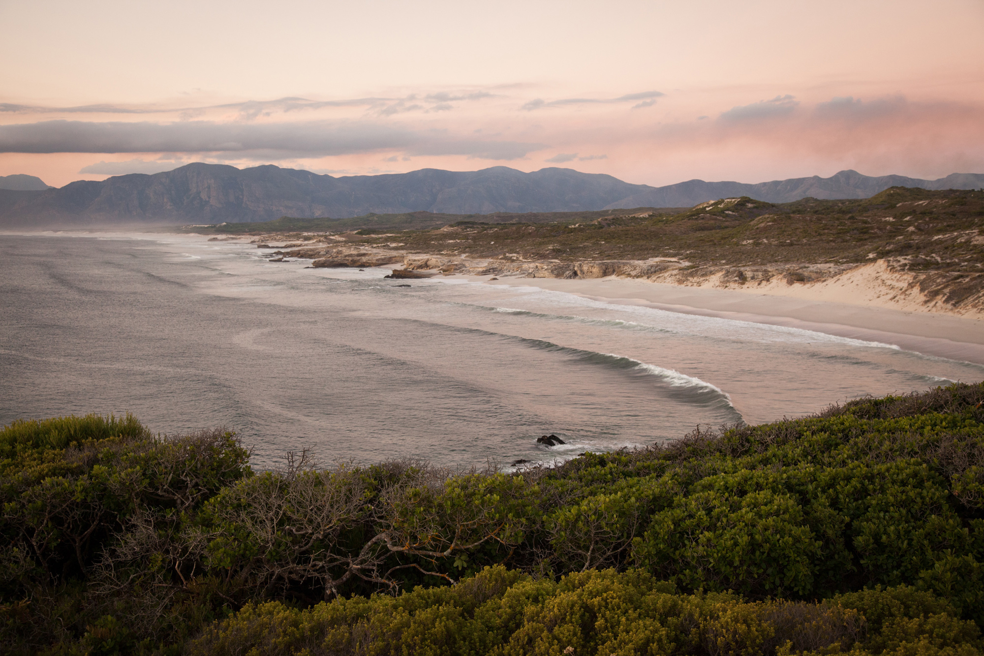South Africa Grootbos Hermanus South Africa 5