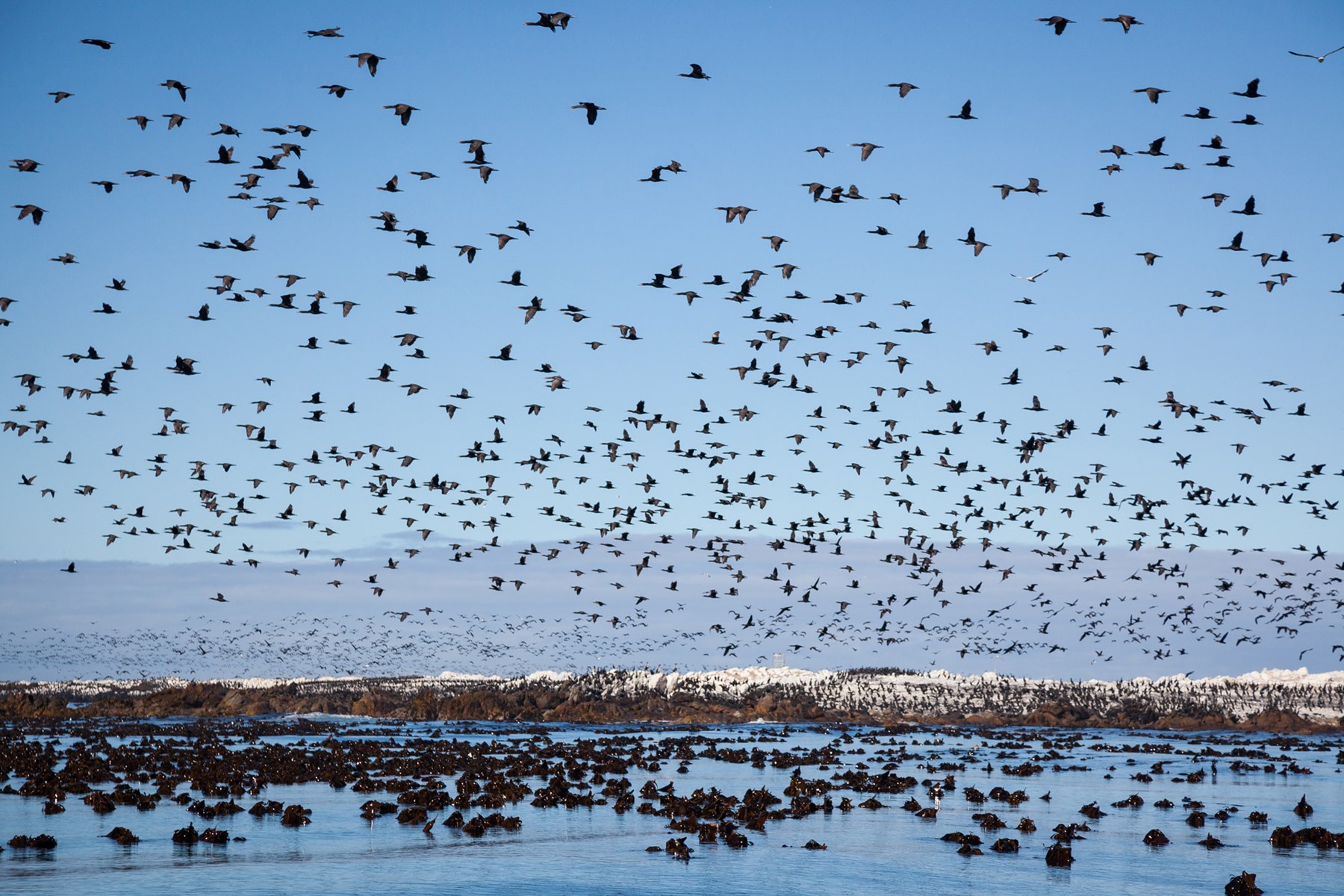 South Africa Grootbos Hermanus South Africa 8