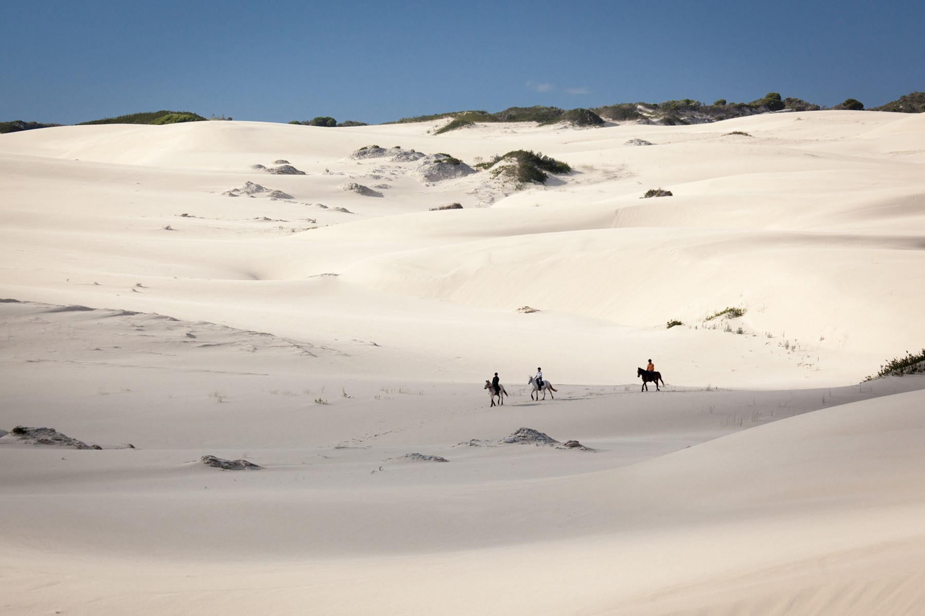 South Africa Grootbos Hermanus South Africa 16