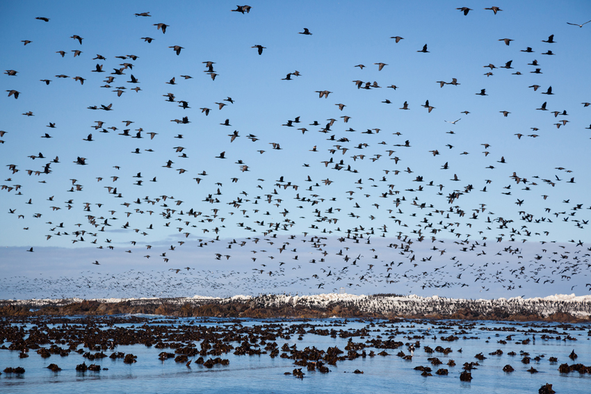 Grootbos Hermanus South Africa 35