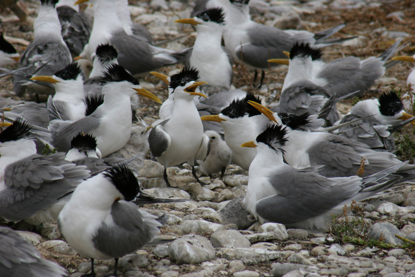 Grootbos Hermanus South Africa 36
