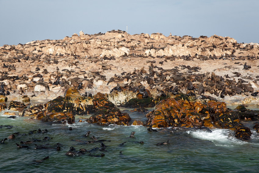 Grootbos Hermanus South Africa 39