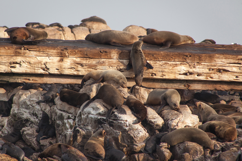 Grootbos Hermanus South Africa 40