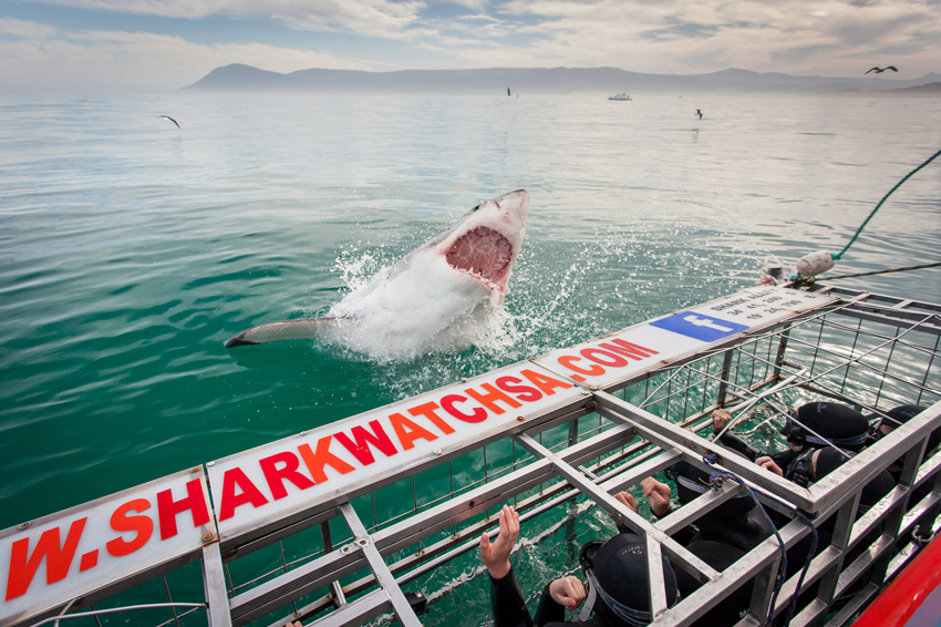 Grootbos Hermanus South Africa 50