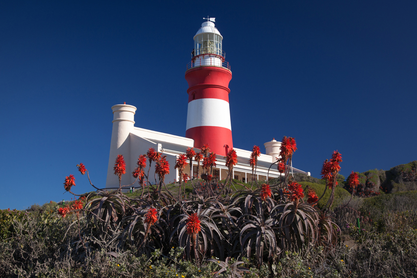 Grootbos Hermanus South Africa 51