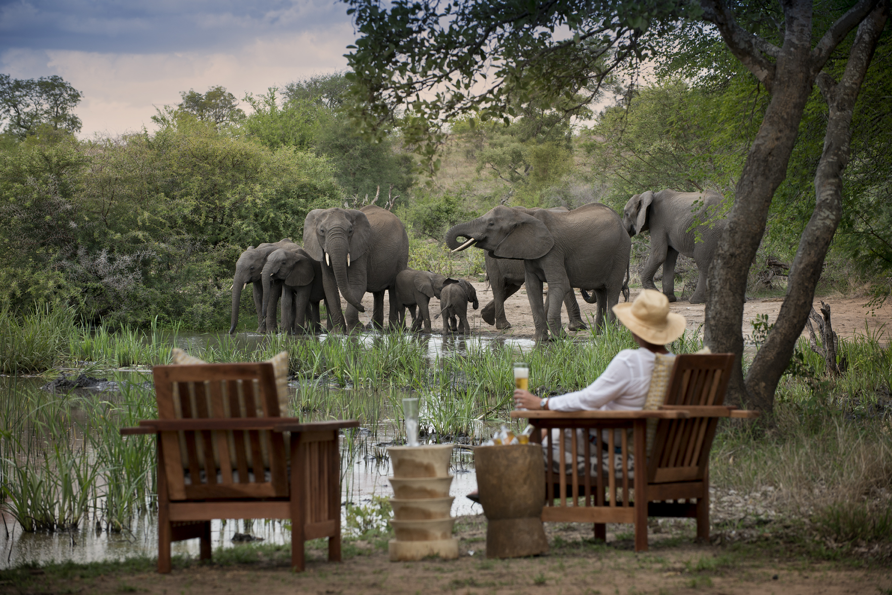 South Africa Tanda Tula Kruger South Africa 4