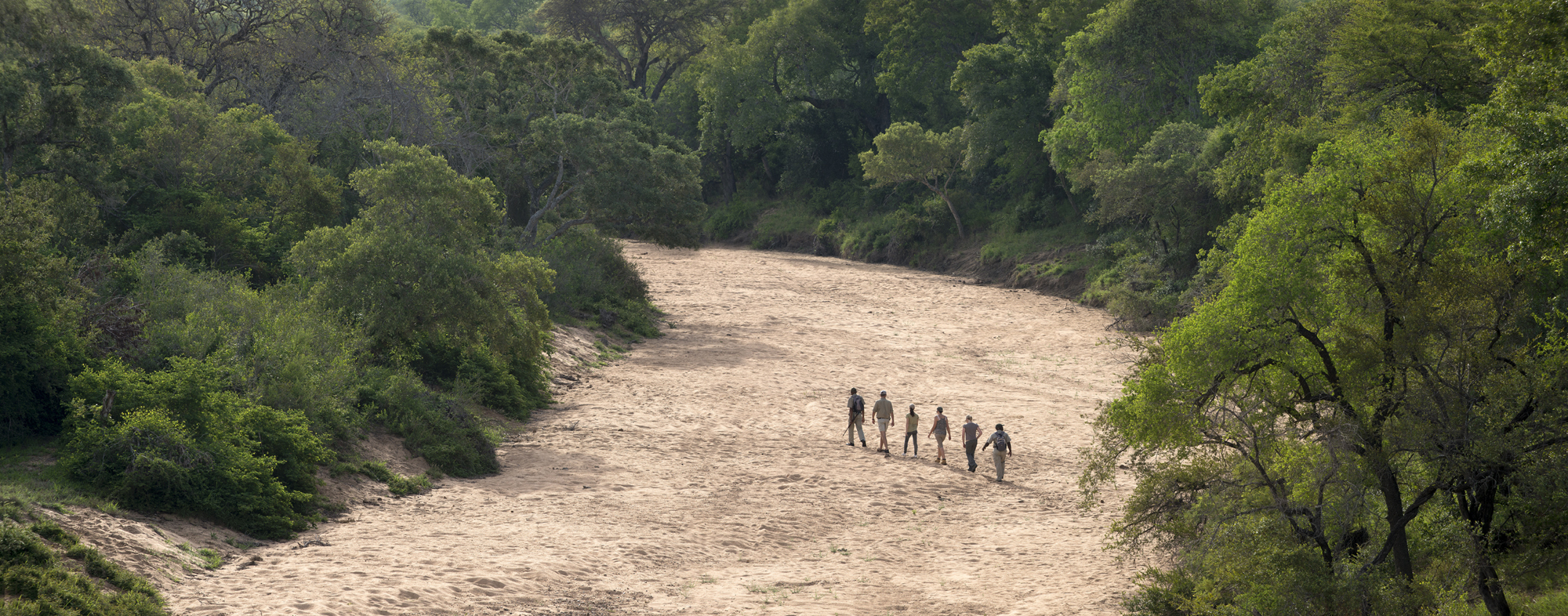 South Africa Tanda Tula Kruger South Africa 5