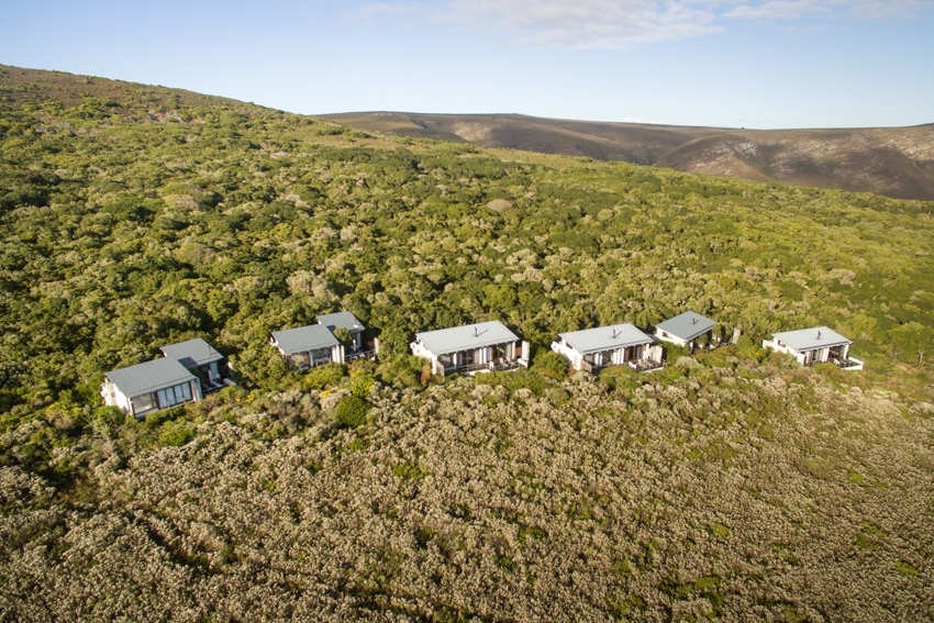 Grootbos Hermanus South Africa 12