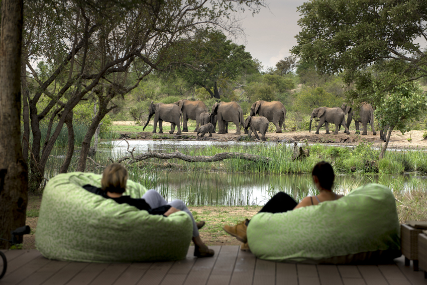 Tanda Tula Kruger South Africa 16