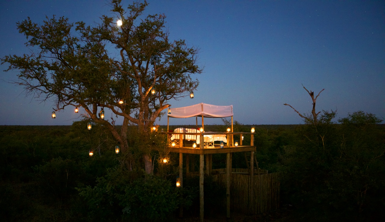 Tanda Tula Kruger South Africa 1