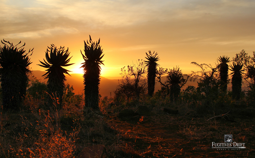 Fugitives Drift Battlefields Kwazulu Natal South Africa 6