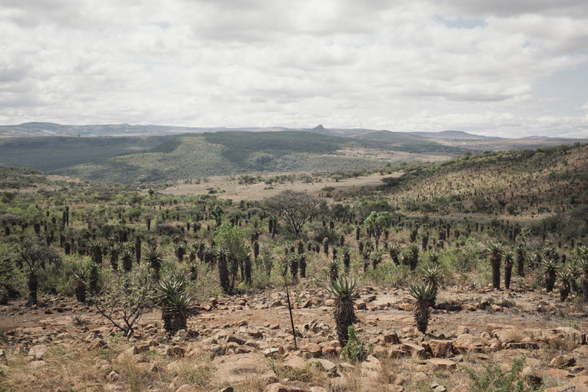 Fugitives Drift Battlefields Kwazulu Natal South Africa 39