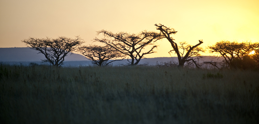 Fugitives Drift Battlefields Kwazulu Natal South Africa 1