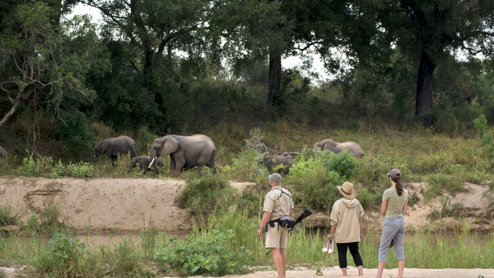 South Africa Dulini River Lodge Kruger South Africa 2