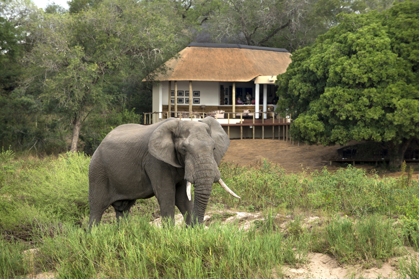 Dulini River Lodge Collection Kruger South Africa 3