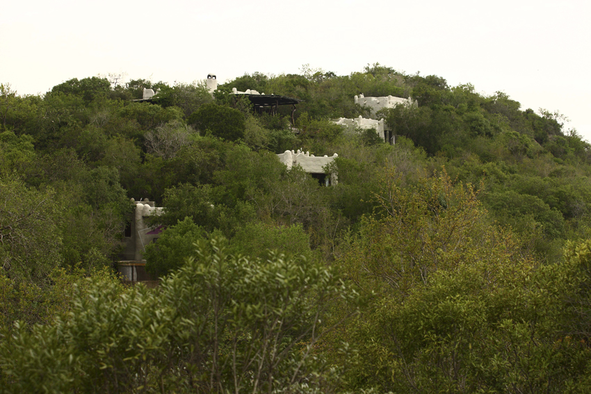 Phinda Andbeyond Hluhluwe Kwazulu Natal South Africa 11